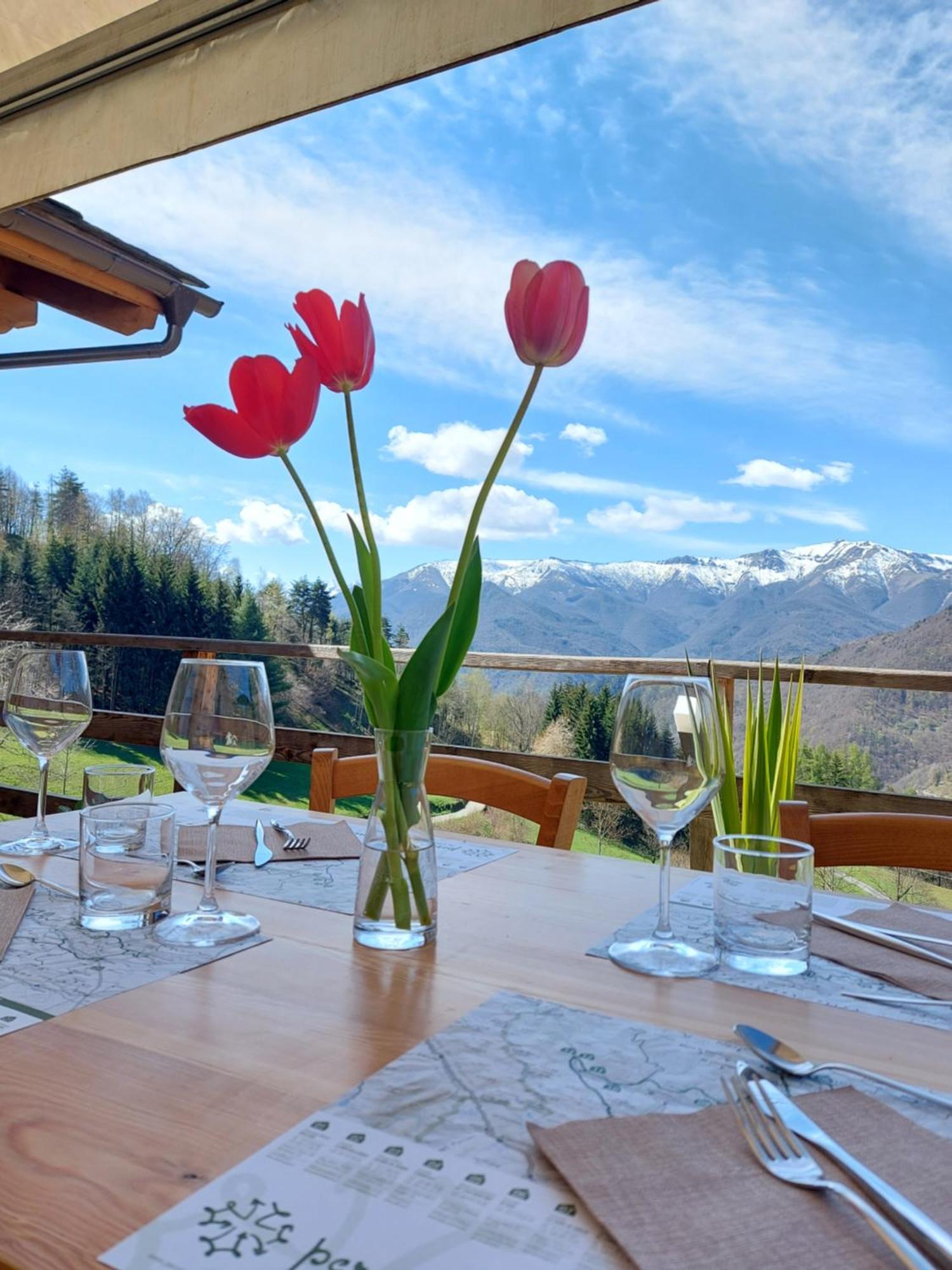 Locanda Il Campo Della Quercia San Damiano Macra Екстериор снимка