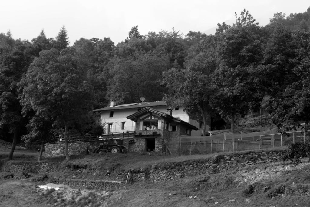 Locanda Il Campo Della Quercia San Damiano Macra Екстериор снимка